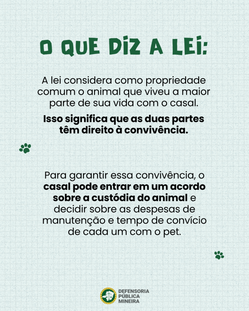 O QUE DİZ A LEI:

A lei considera como propriedade
comum o animal que viveu a maior
parte de sua vida com o casal.
Isso significa que as duas partes
têm direito à convivência.

Para garantir essa convivência, o
casal pode entrar em um acordo
sobre a custódia do animal e
decidir sobre as despesas de
manutenção e tempo de convício
de cada um com o pet.
