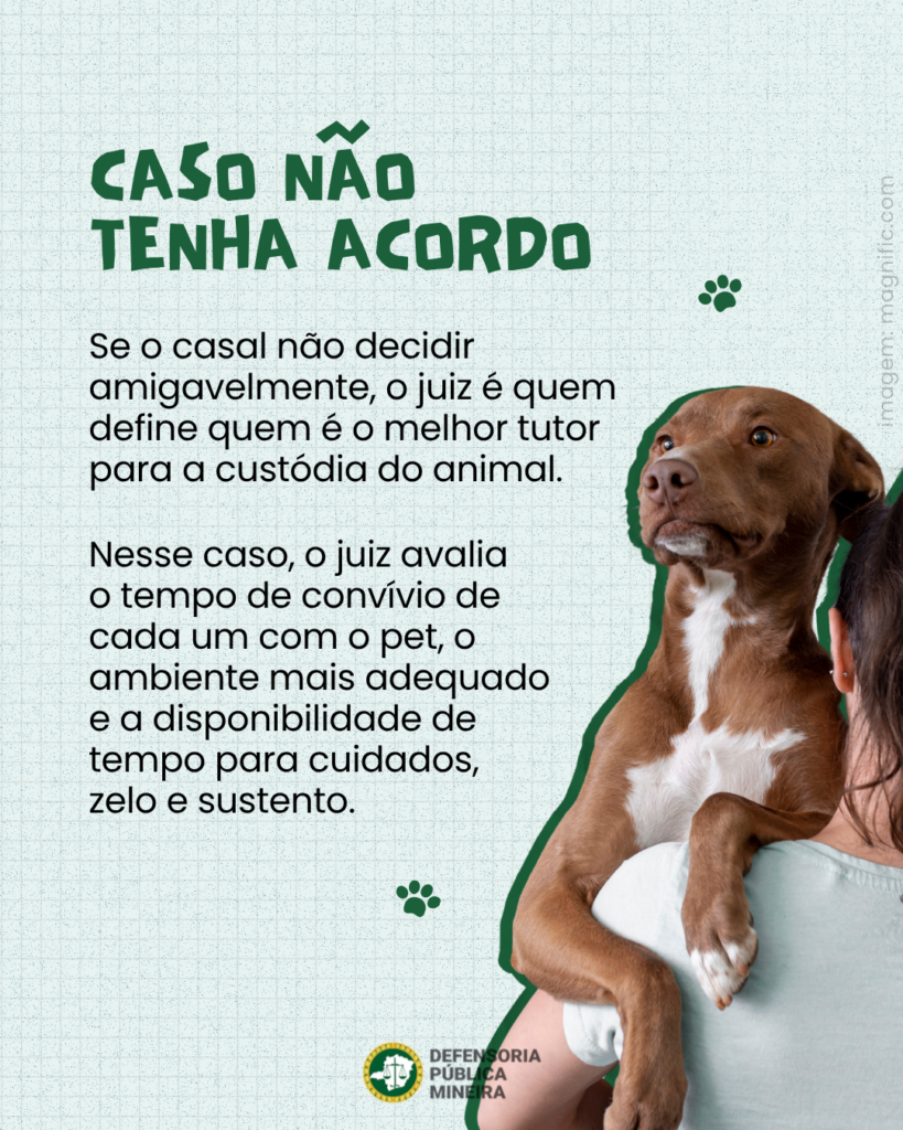 CASO NÃO
TENHA ACORDO

Se o casal não decidir
amigavelmente, o juiz é quem
define quem é o melhor tutor
para a custódia do animal.

Nesse caso, o juiz avalia
o tempo de convívio de
cada um com o pet, o
ambiente mais adequado
e a disponibilidade de
tempo para cuidados,
zelo e sustento.

