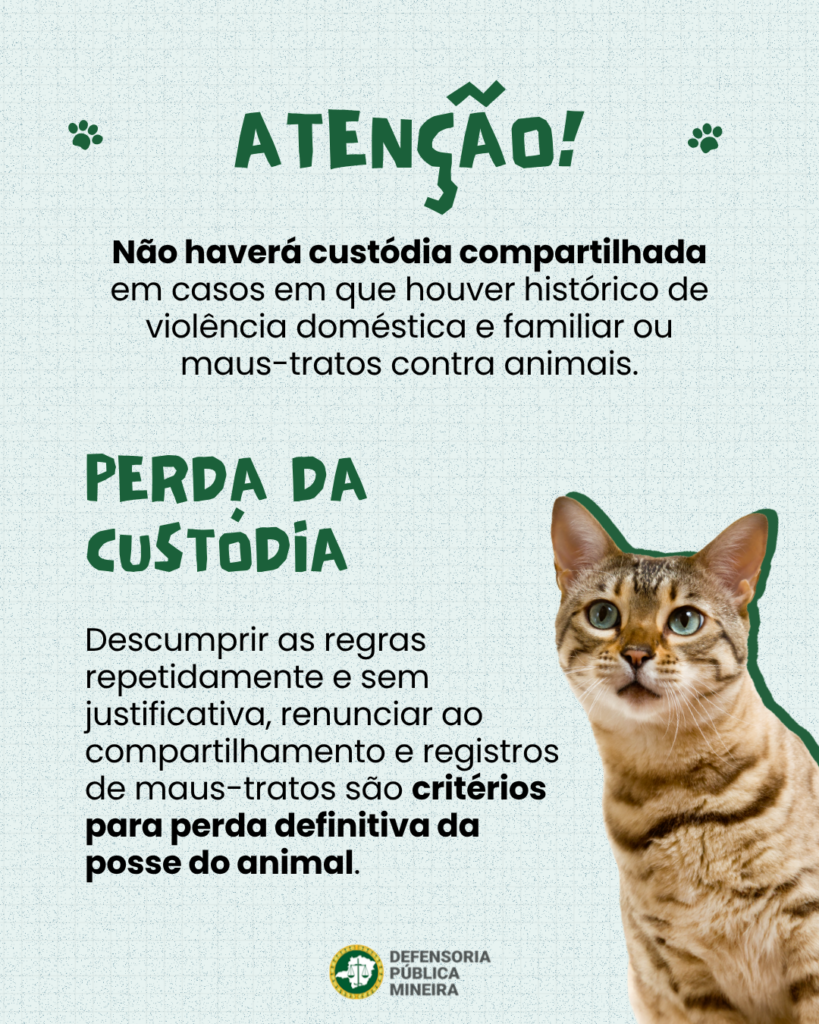 ATENÇÃO!
Não haverá custódia compartilhada
em casos em que houver histórico de
violência doméstica e familiar ou
maus-tratos contra animais.

PERDA DA
CUSTODIA
Descumprir as regras
repetidamente e sem
justificativa, renunciar ao
compartilhamento e registros
de maus-tratos são critérios
para perda definitiva da
posse do animal.