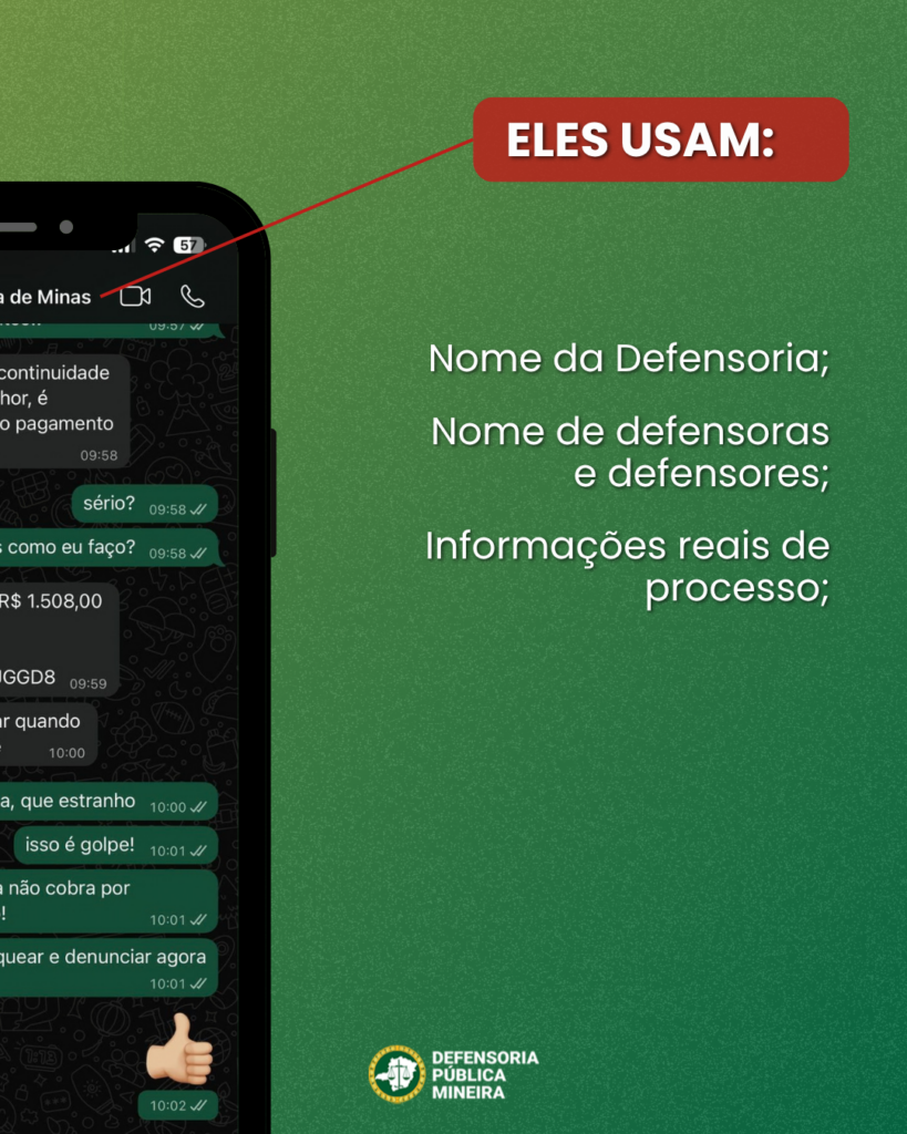ELES USAM:

Nome da Defensoria;

Nome de defensoras e defensores;

Informações reais de processo;
