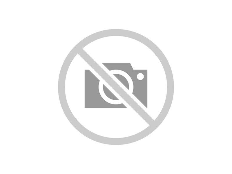 Dia da Consciência Negra e a atuação da DPMG