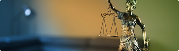 Emenda Constitucional nº 75/2006 e 88/2011