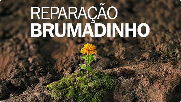 Brumadinho