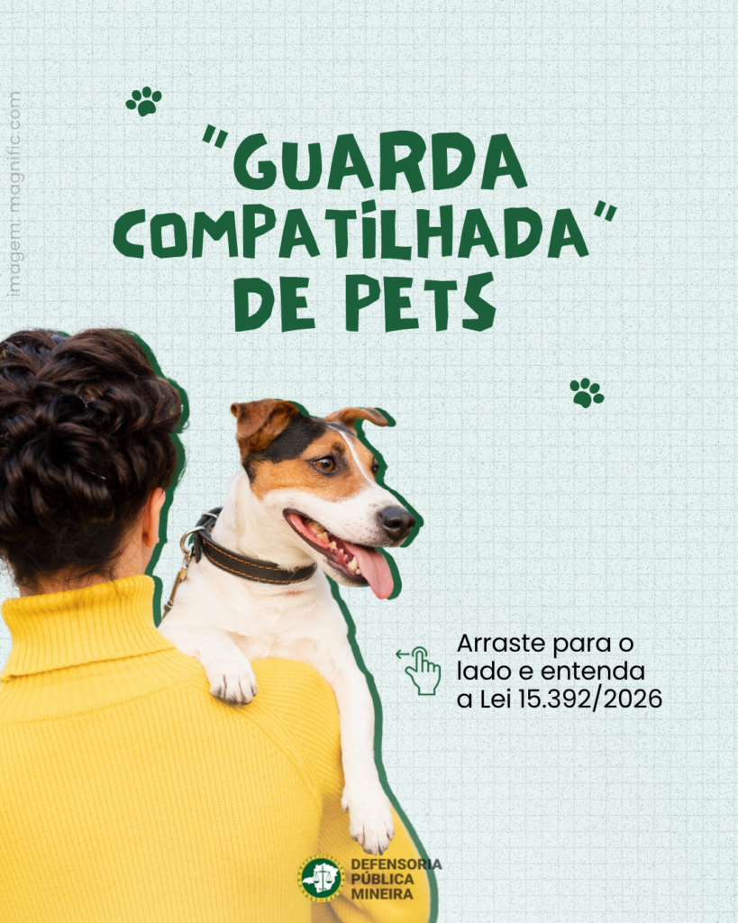 Guarda compartilhada de pets: o que muda com a Lei nº 15.392/2026